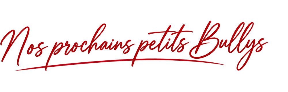 Nos prochains petits Bullys